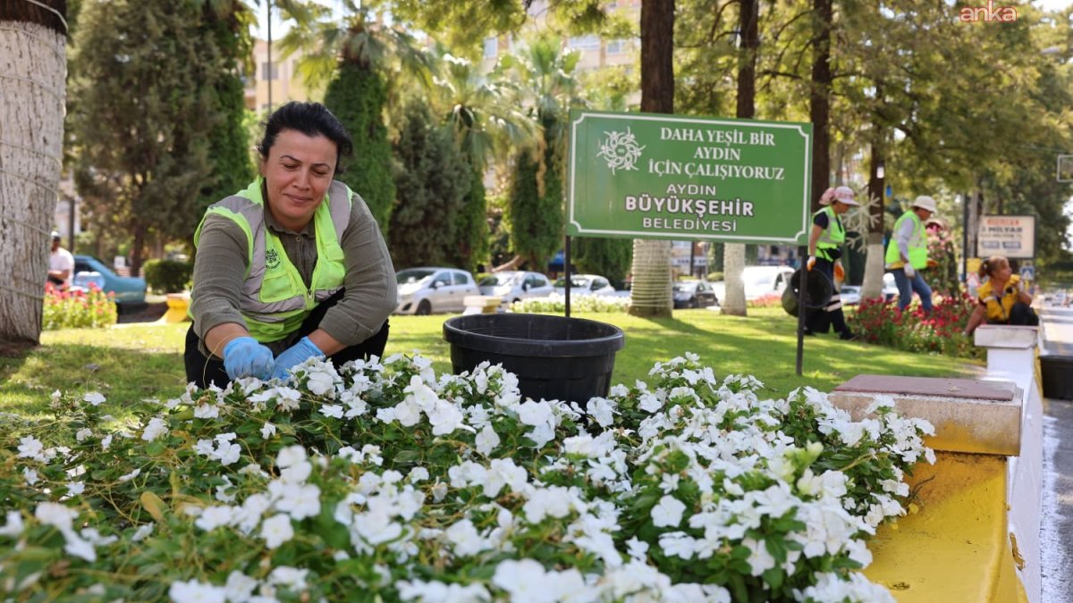 Aydın cennet gibi çiçeklerle donatılıyor