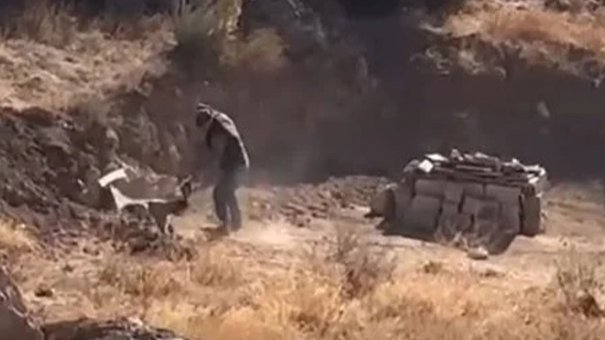 Hayvana uygulanan şiddet cezasız kalmadı!