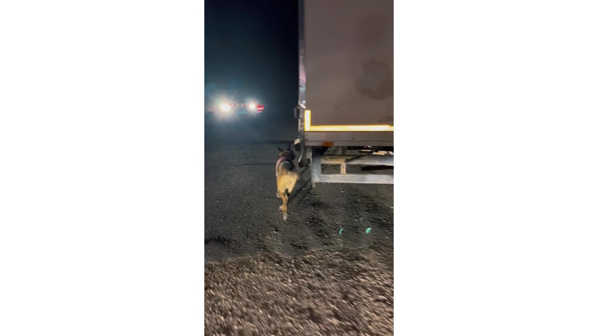 Van'da uyuşturucu operasyonu: İki kişi tutuklandı