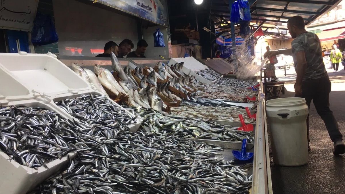 Hamsi fiyatları Zonguldak'ta yükselmeye devam ediyor