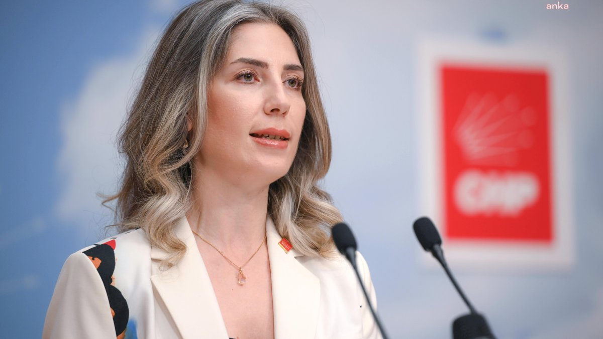 Selimiye Camisi'nde restorasyon tepkisi: CHP'li Atalar'dan çarpıcı açıklama