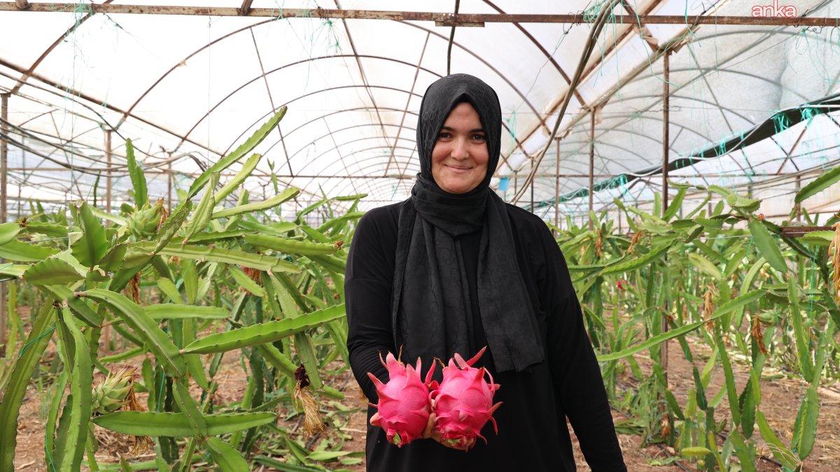 Antalya'dan üreticilere yeni destek: Alternatif ürünler öne çıkıyor