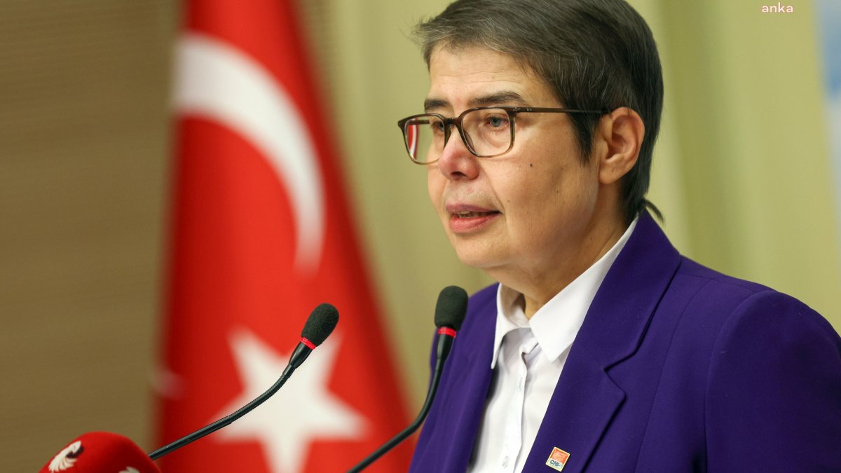 CHP'li Aksaz Şahbaz: Şehir hastanelerine ayrılan bütçe 90.5 milyar TL'ye ulaştı