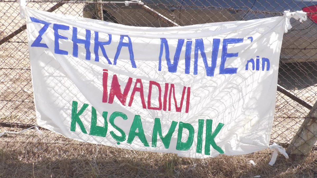 İkizköy'deki zeytin direnişi sürüyor