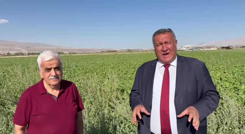 CHP'li Gürer: Şekerpancar alım kampanyası başladı ama fiyat yok