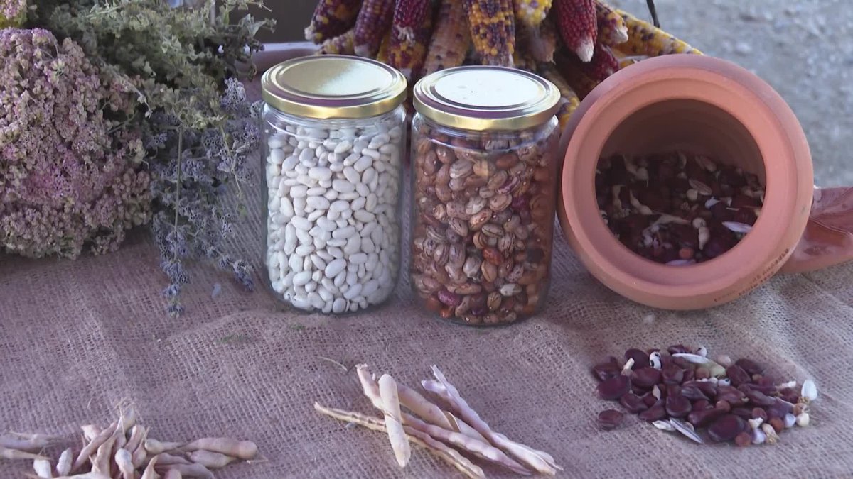 Minik eller doğayla buluştu