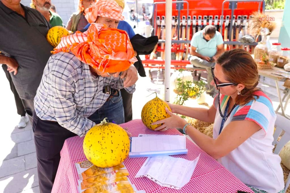 Çeşme'de tarım ve kültür şöleni: 10. Ovacık Festivali geride kaldı