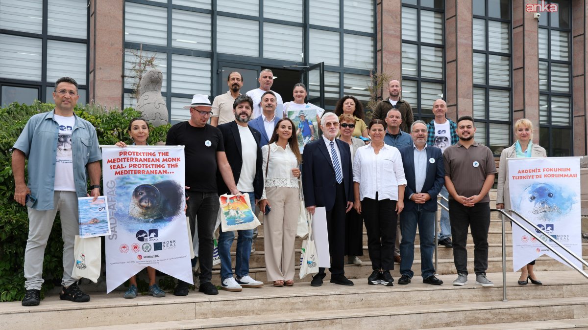 Foça, Akdeniz fokları için uluslararası buluşmaya ev sahipliği yaptı