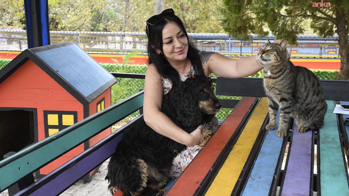 Kuşadası'nda 195 can dost sıcak yuvalarına kavuştu