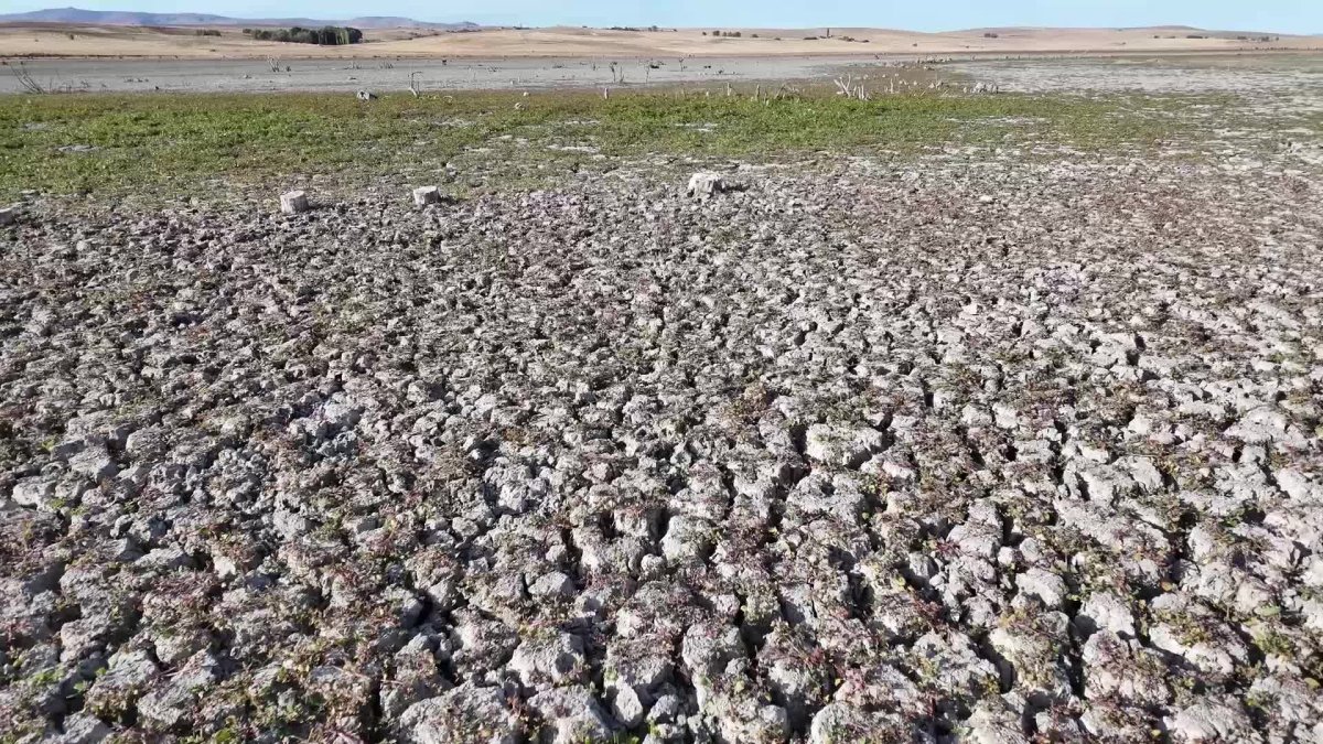 Yozgat'ta baraj suları çekildi, otlaklar ortaya çıktı