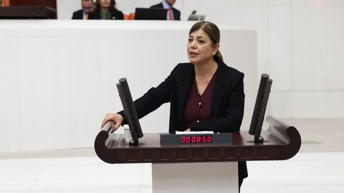 Meral Danış Beştaş: AİHM kararları Kobani tutuklularını etkiliyor