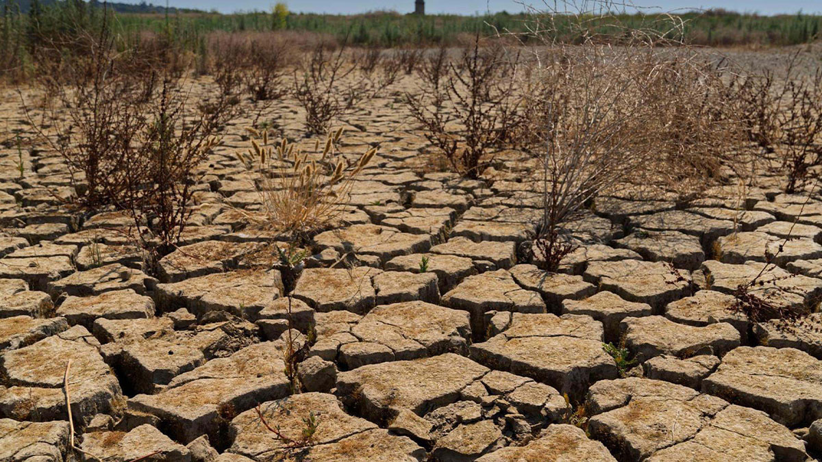 Türkiye için kuraklık tehlikesi büyüyor!