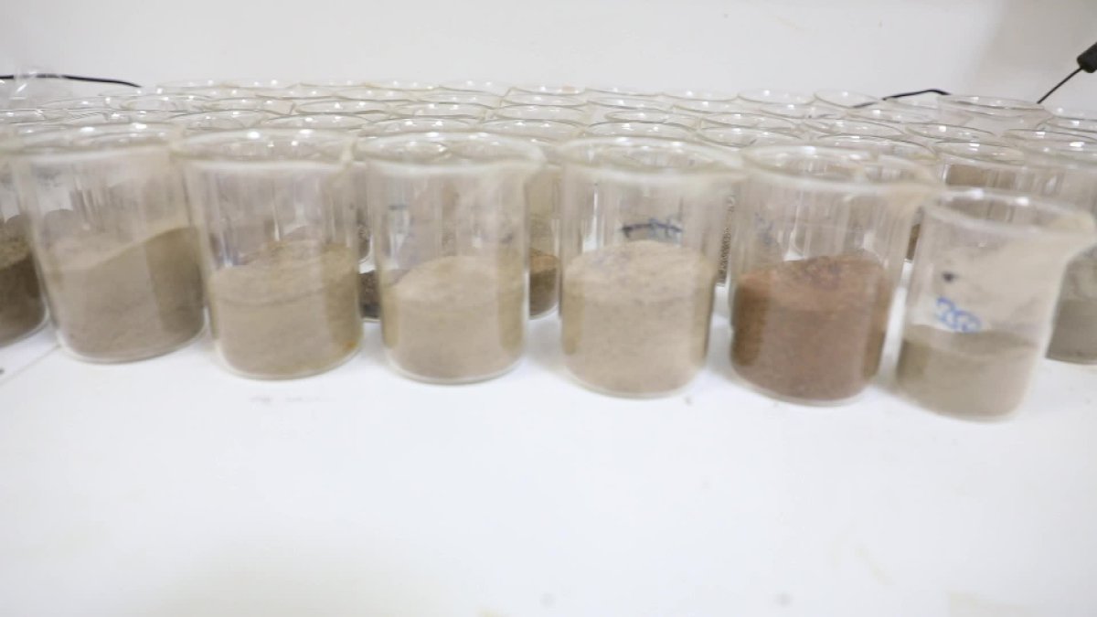 Muğla'da toprak analizi verimliliği artırıyor