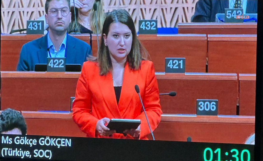 Gökçen, Avrupa Konseyi'nde iktidarı eleştirdi