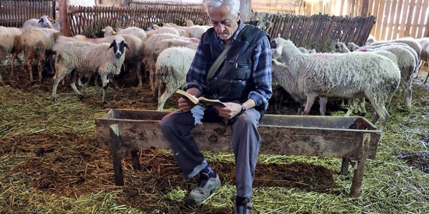 Köyüne dönen zabıta Nusret hayvanları ve kitaplarıyla huzurlu