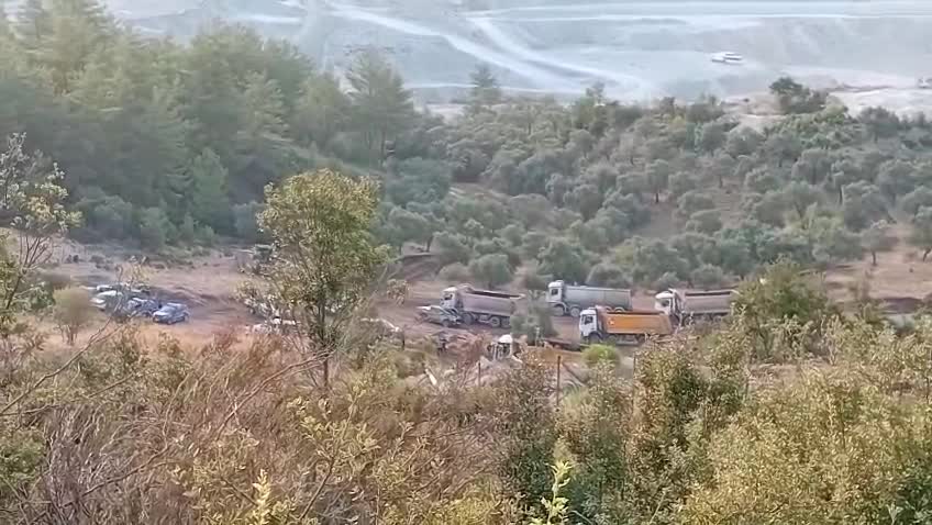 Anayasa Mahkemesi, zeytinlikleri koruma davasını ele alıyor