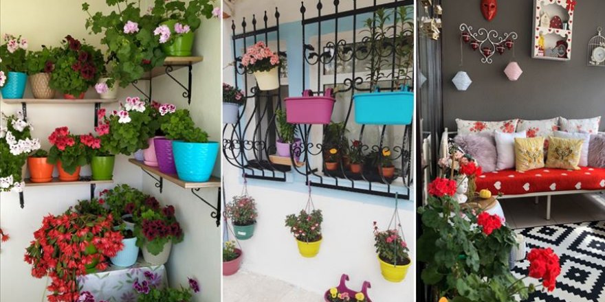 Anne eli değen balkonlar rengarenk çiçek açtı