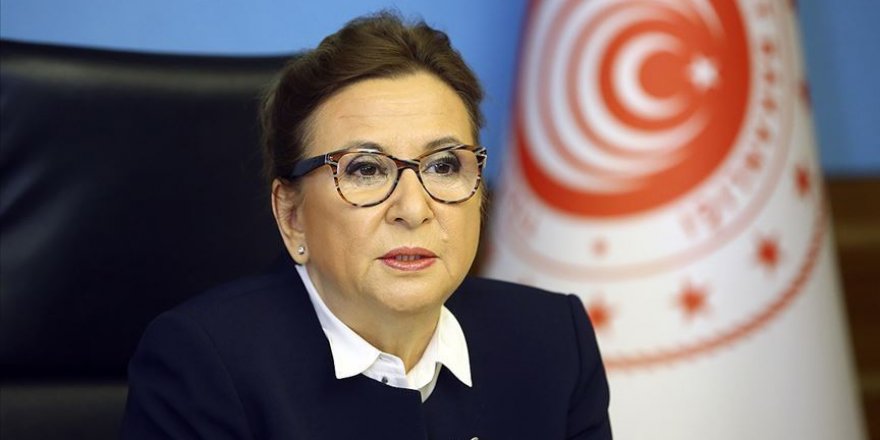 Bazı Ro-Ro seferlerinde tır şoförlerine gemiye biniş izni