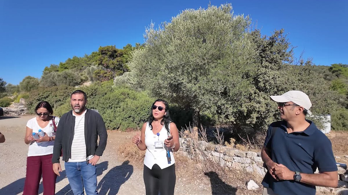 Erasmus öğrencileri Bodrum'un tarihini keşfediyor