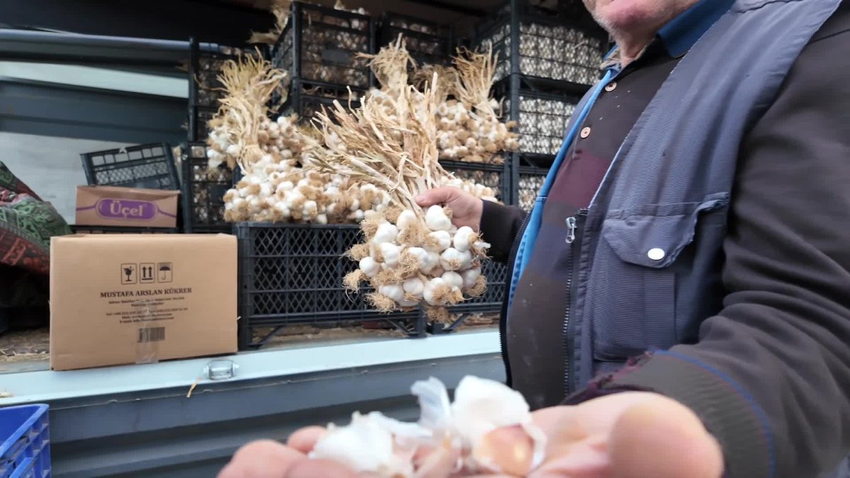 Sarımsak fiyatları düştü, başkan uyardı!