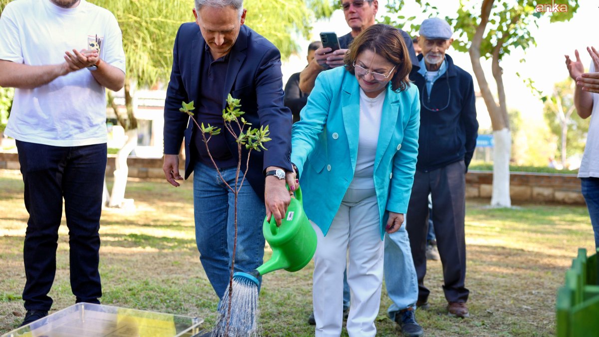 Dostluk simgeleri olarak meşe ağaçları dikildi