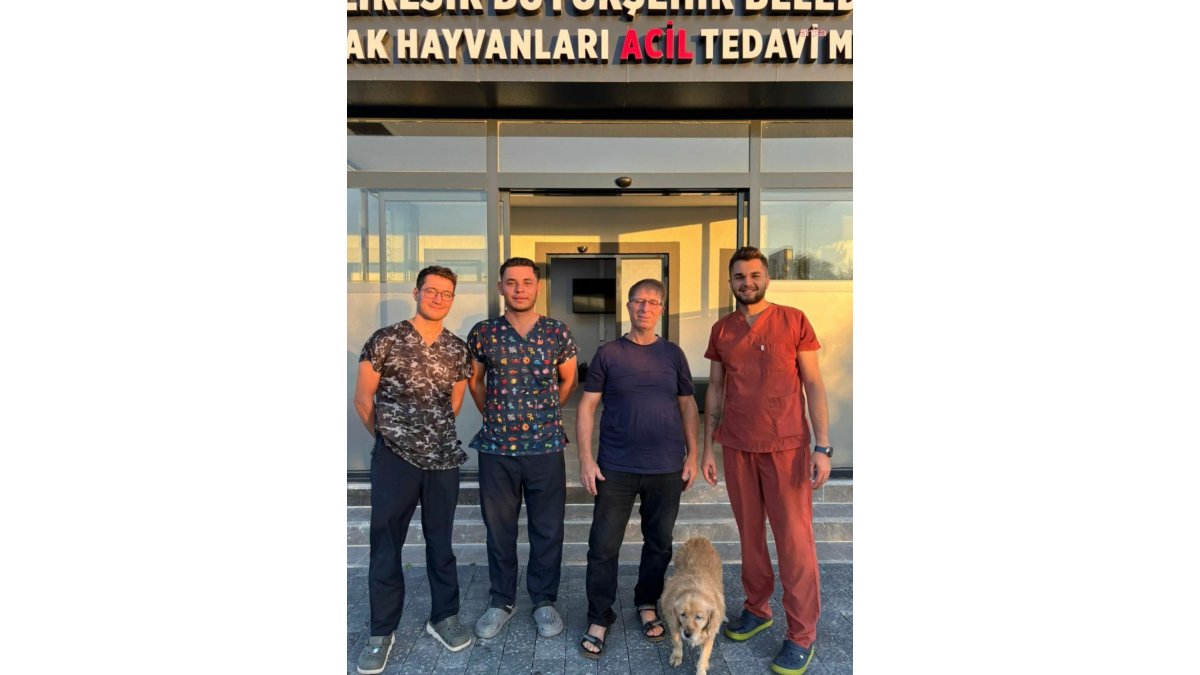 Balıkesir'de bir ilk: Gofret sağlığına kavuştu