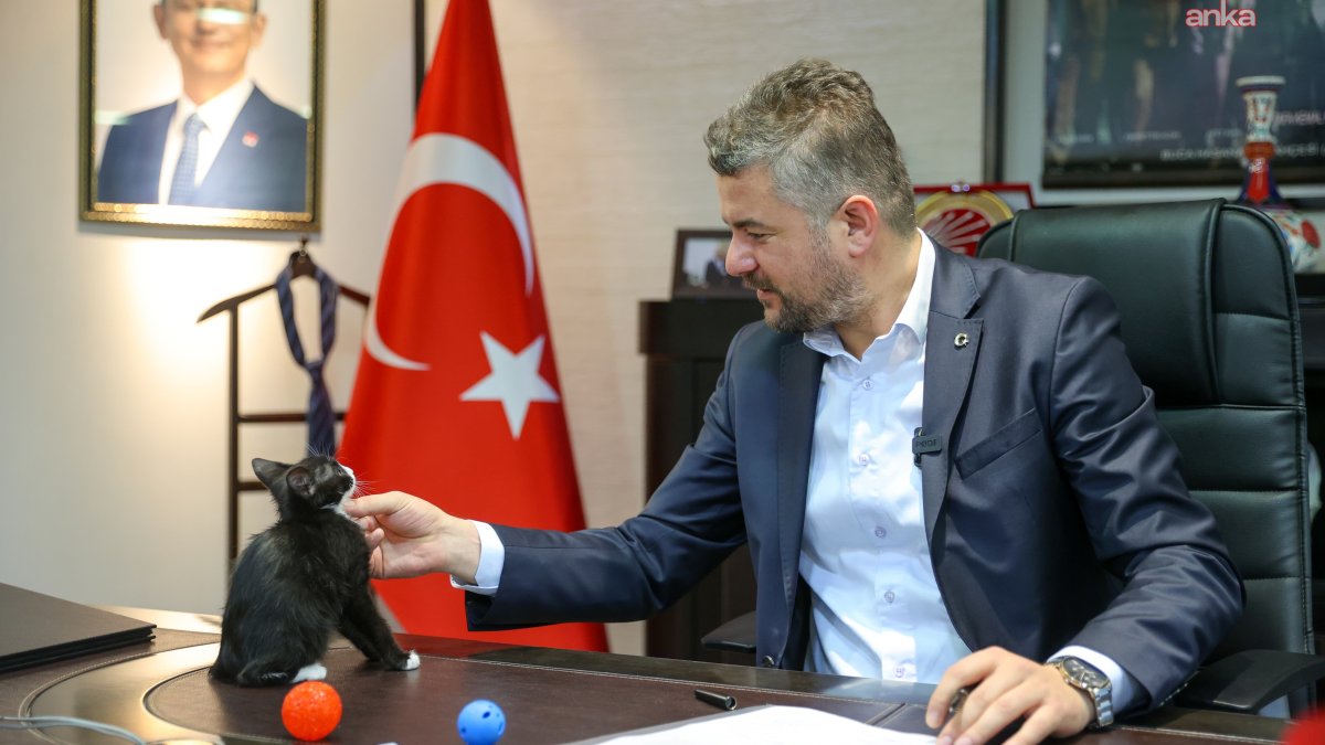 Buca'dan anlamlı çağrı: Sokak hayvanlarına sahip çıkalım