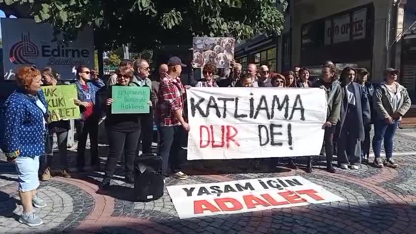 Edirne'de hayvan hakları savunucuları sokaklarda