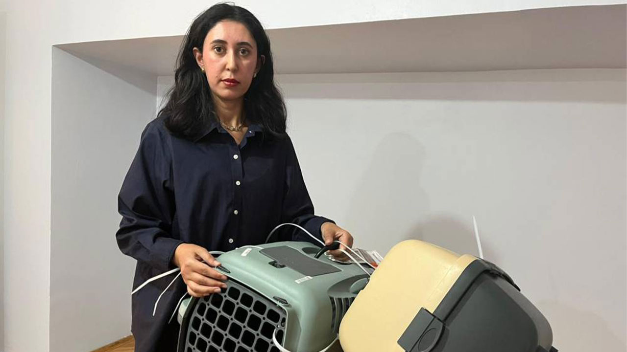 Kayıp kedi krize sebep oldu! Türk diplomat ve eşi suç duyurusunda bulundu