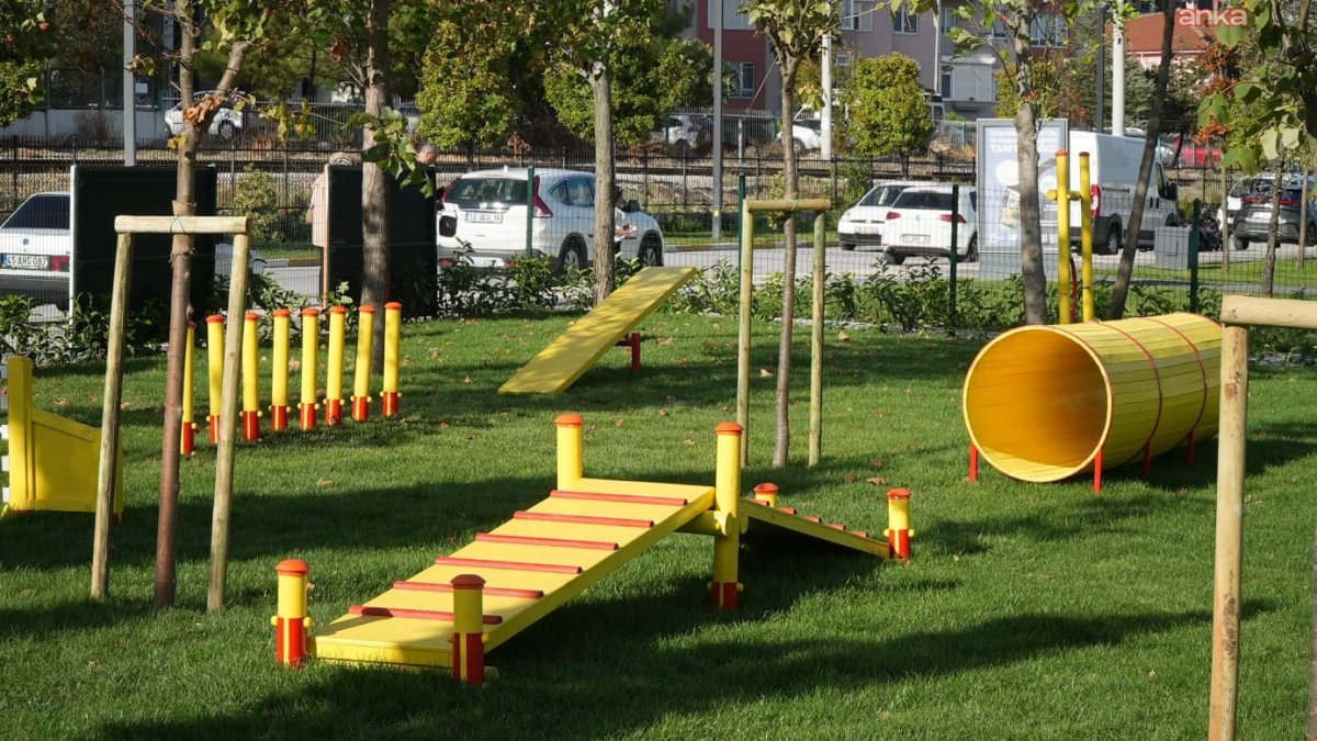 Balıkesir'de yeni bir cennet: Pati Park açıldı
