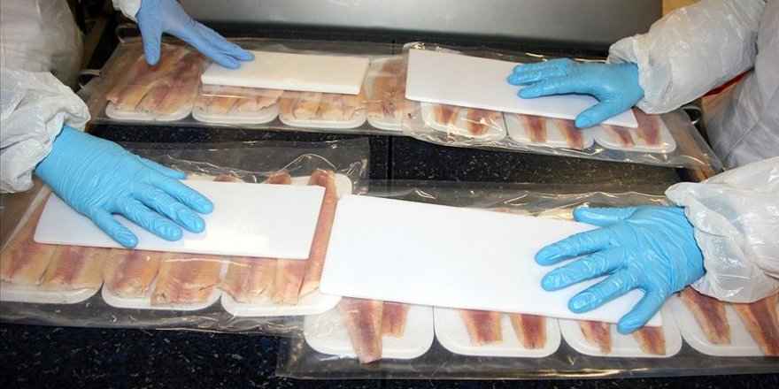 Gıda işletmelerine dondurulmuş balık uyarısı