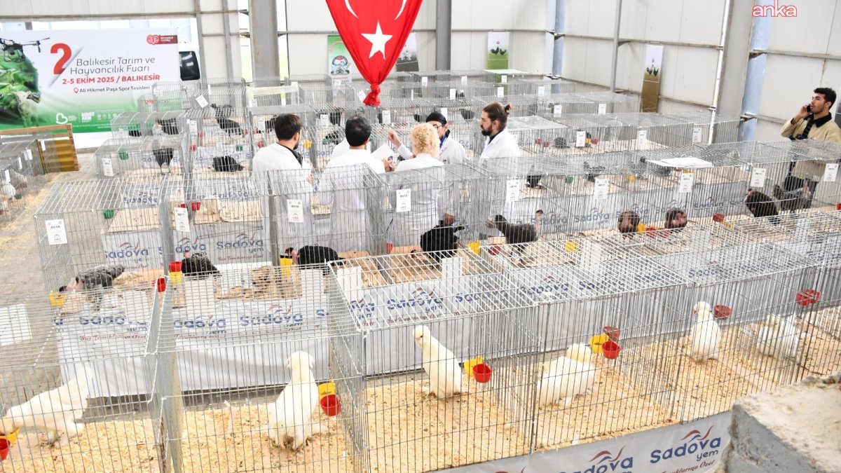 Balıkesir Fuarında Tarım ve Hayvancılık İnovasyonu Zirveye Ulaştı