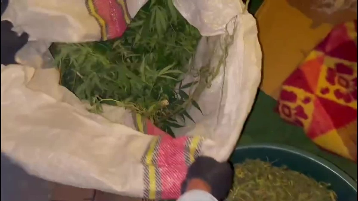 Malatya'da uyuşturucu şebekesine büyük darbe: 11 tutuklama