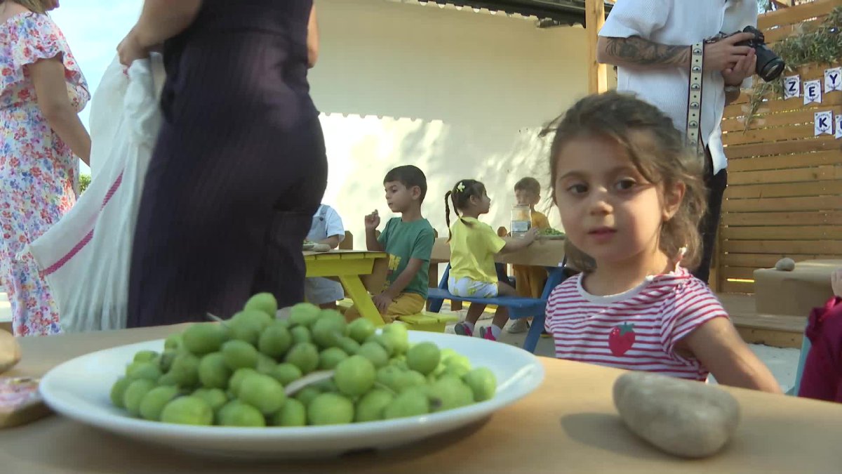 Minik zeytin işçileri Konyaaltı'nda buluştu