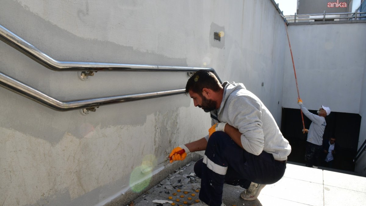 Çiğli'de ağaç bakımına hız verildi