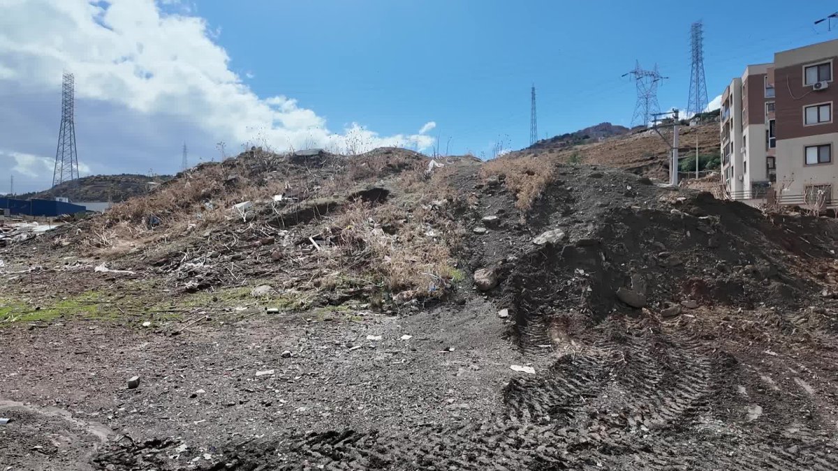 Bornova'nın atıl alanı, misket üzümü bağına dönüşüyor