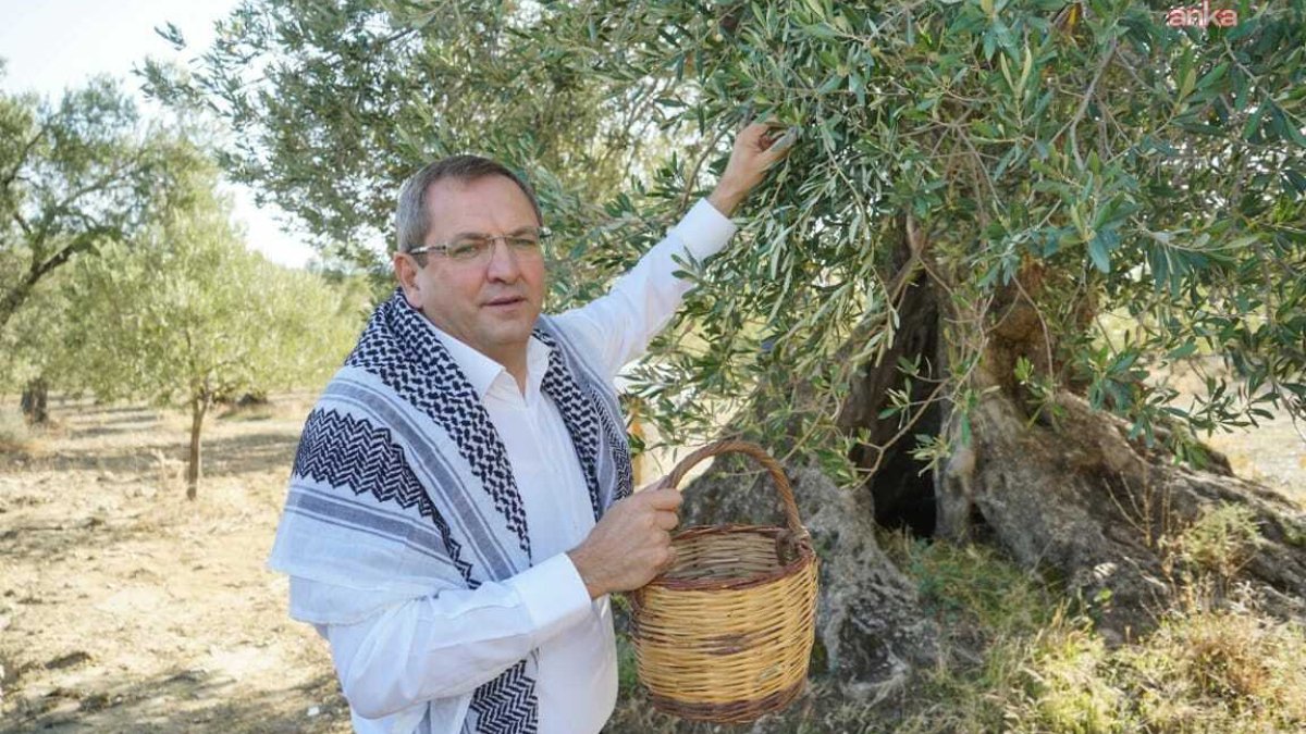 Ayvalık festivaline gün sayılıyor