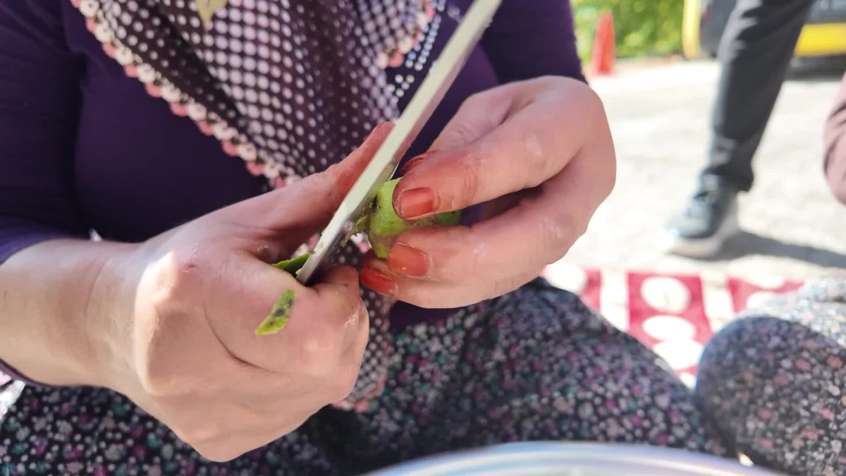 Mersin Belediyesi'nden üreticilere ceviz soyma makinesi desteği