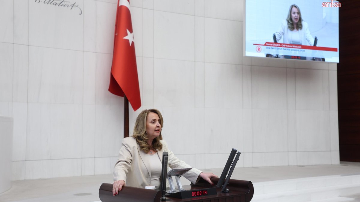 Artan asayiş sorunlarına dikkat çeken Dinçer: Vatandaş silahlanmaya yöneliyor