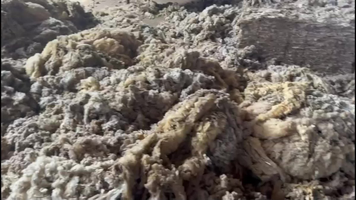 Malatya'da çöpe giden yünler ekonomiye kazandırılıyor