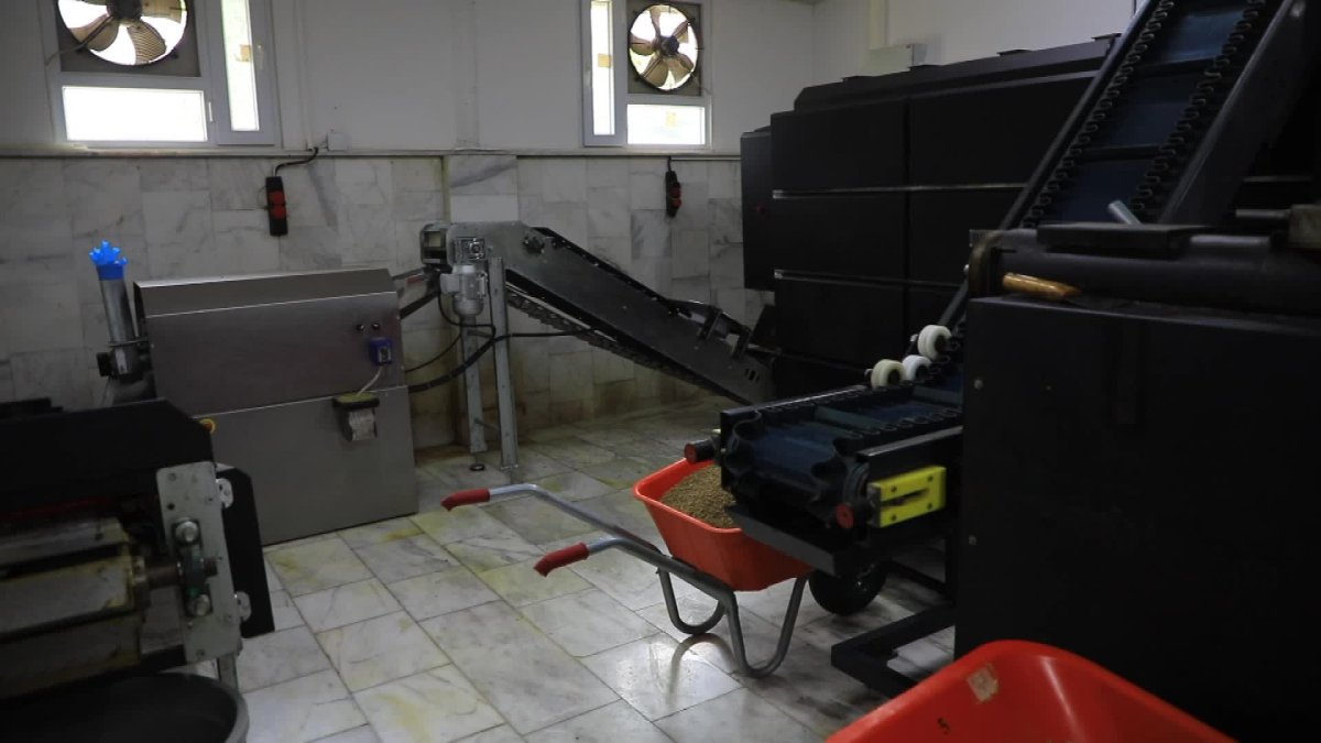 Muğla Belediyesi'nden sokak hayvanlarına dev destek: 42 ton mama üretildi