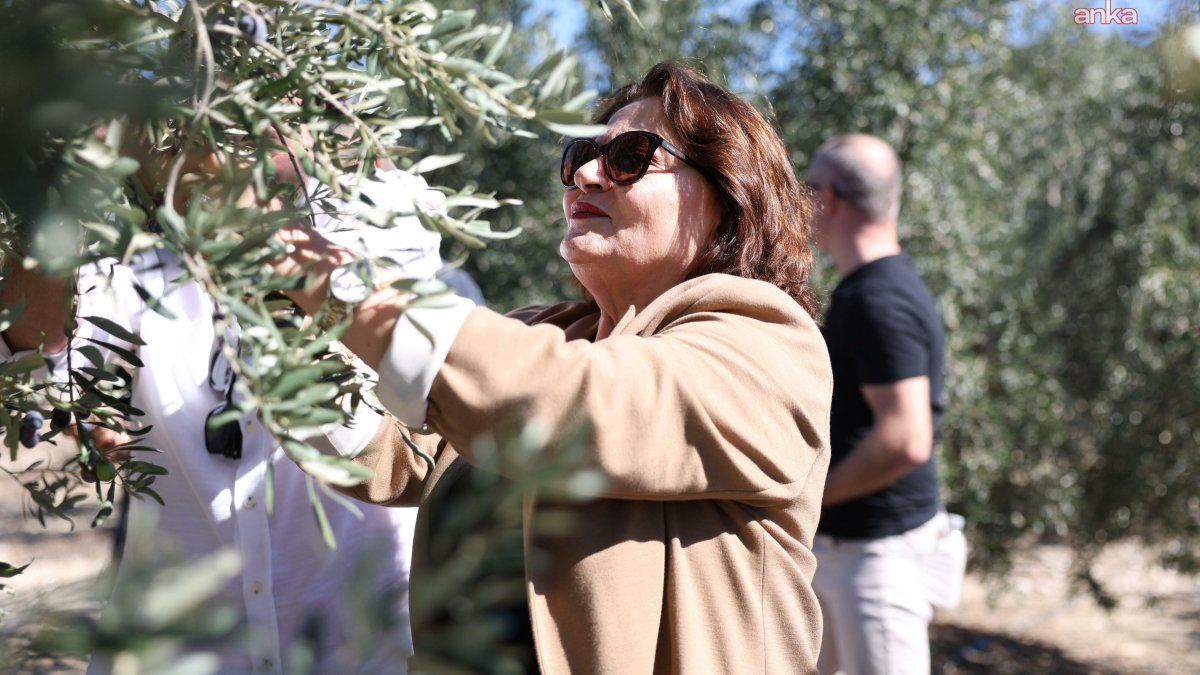 Zeytin Festivali binlerce ziyaretçiyi ağırladı