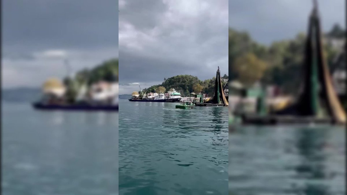 Boğaz'daki gırgır avına büyük tepki