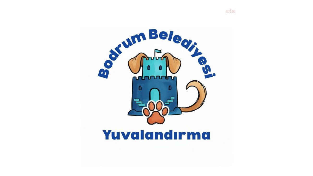 Bodrum'da yeni platform sayesinde sokak hayvanları yuvalanıyor