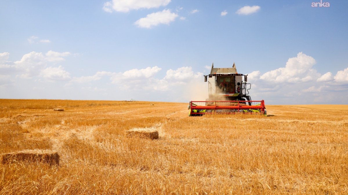 Eskişehir'de tarımın geleceği tartışmaya açılıyor