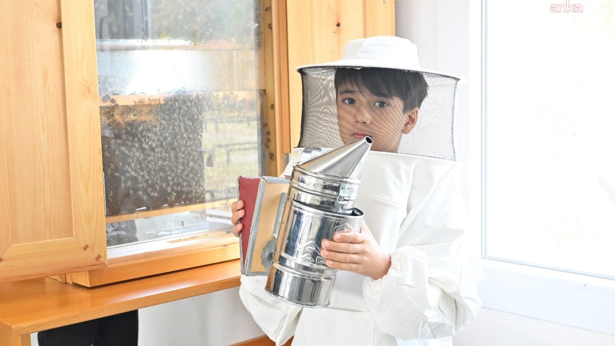 Arıların gizemli dünyası, Manisalı öğrencilerle keşfediliyor