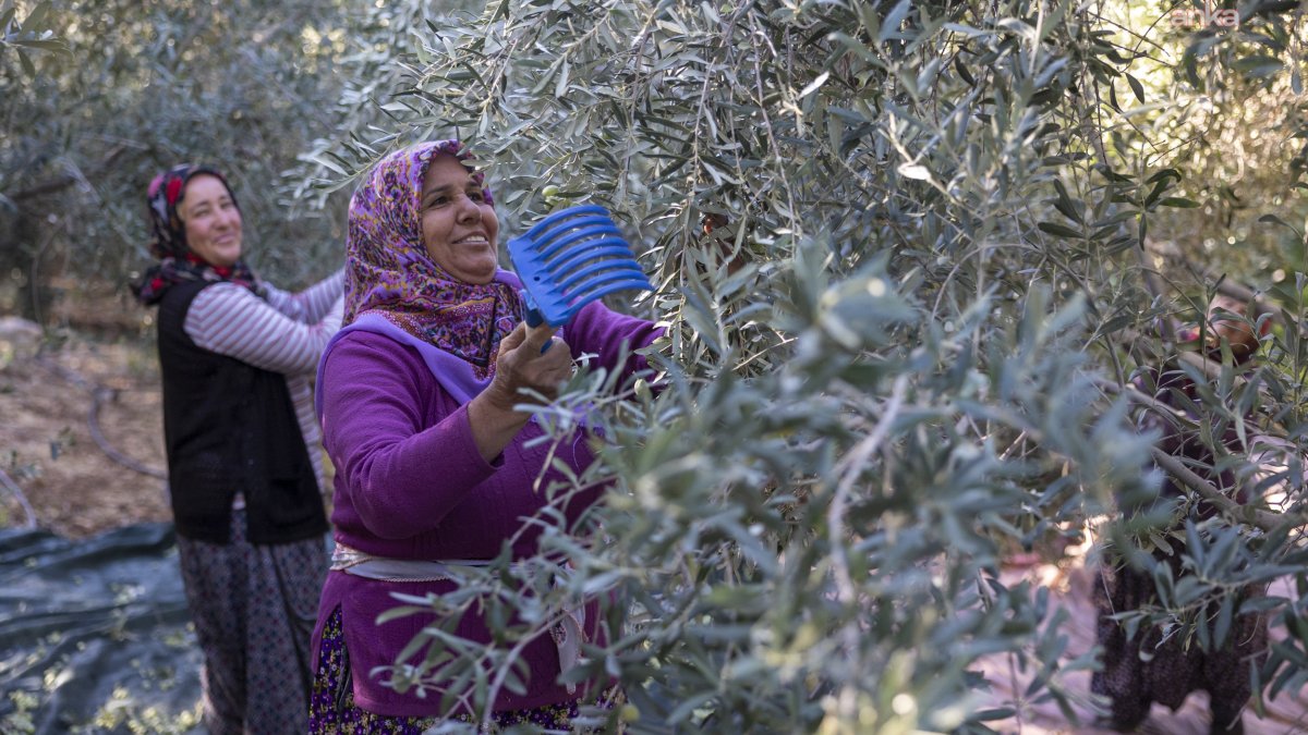 Mersin'de fidan destekleri toprakla buluştu