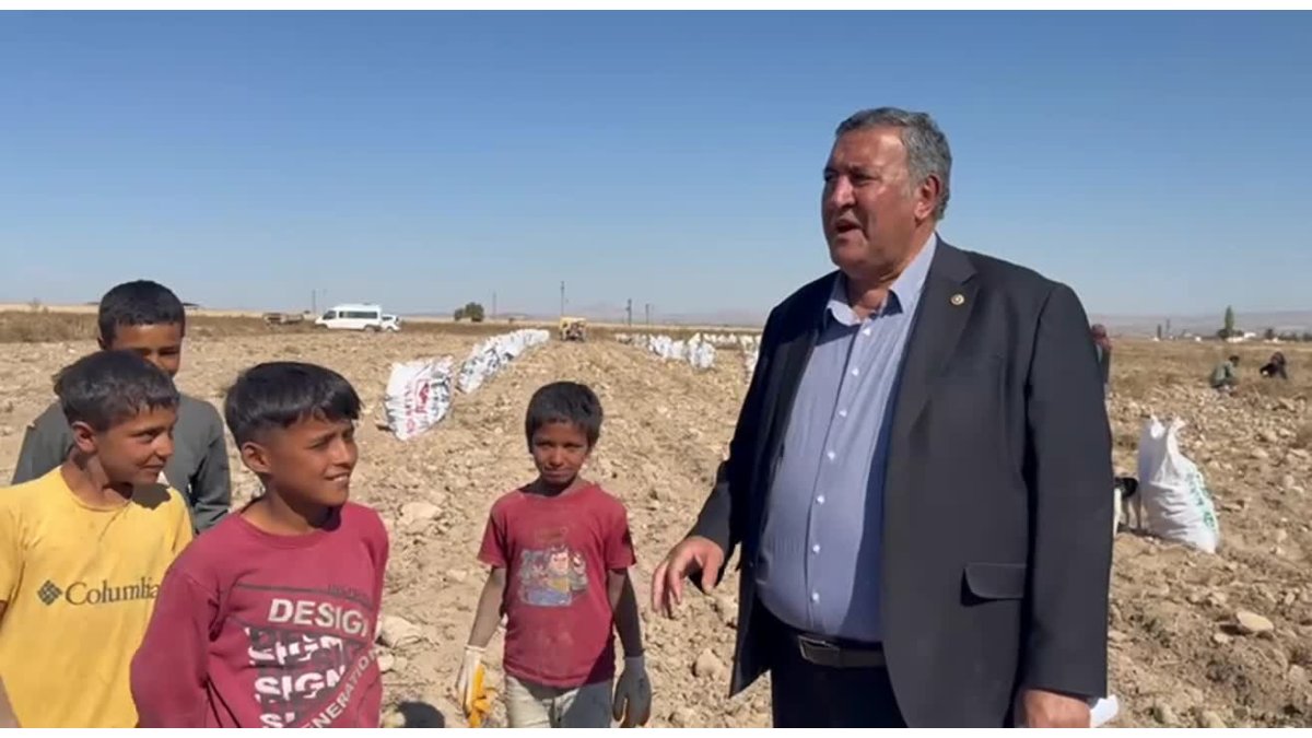 Çocuk tarım işçileri için eğitim ve haklar şart