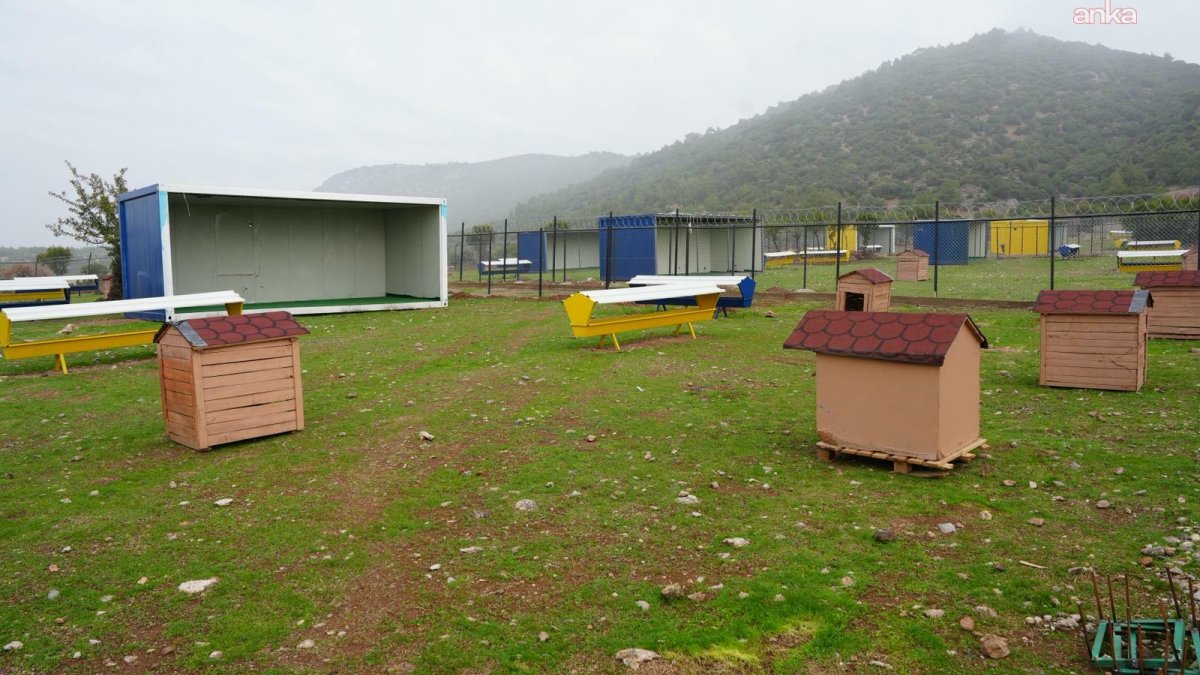 Turgutlu'da sokak hayvanları için yeni yaşam alanı oluşturuluyor