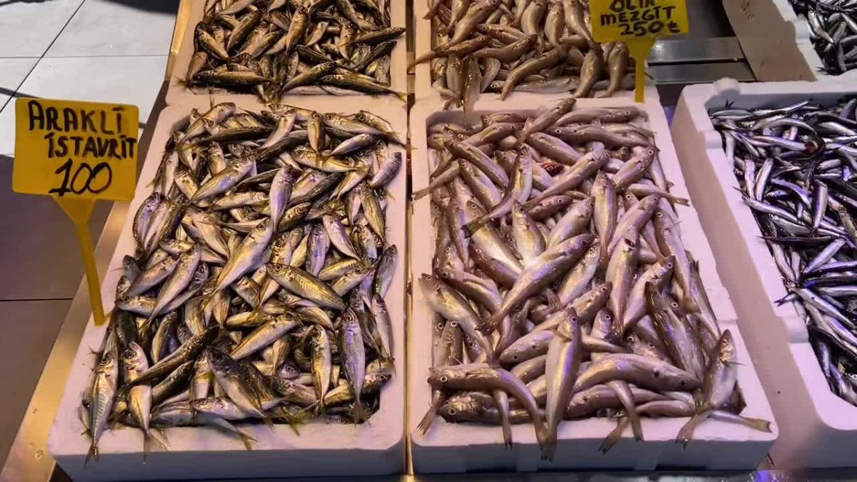 Balıkçı Onur Örseloğlu'ndan müjde: Bu sene balık bol!